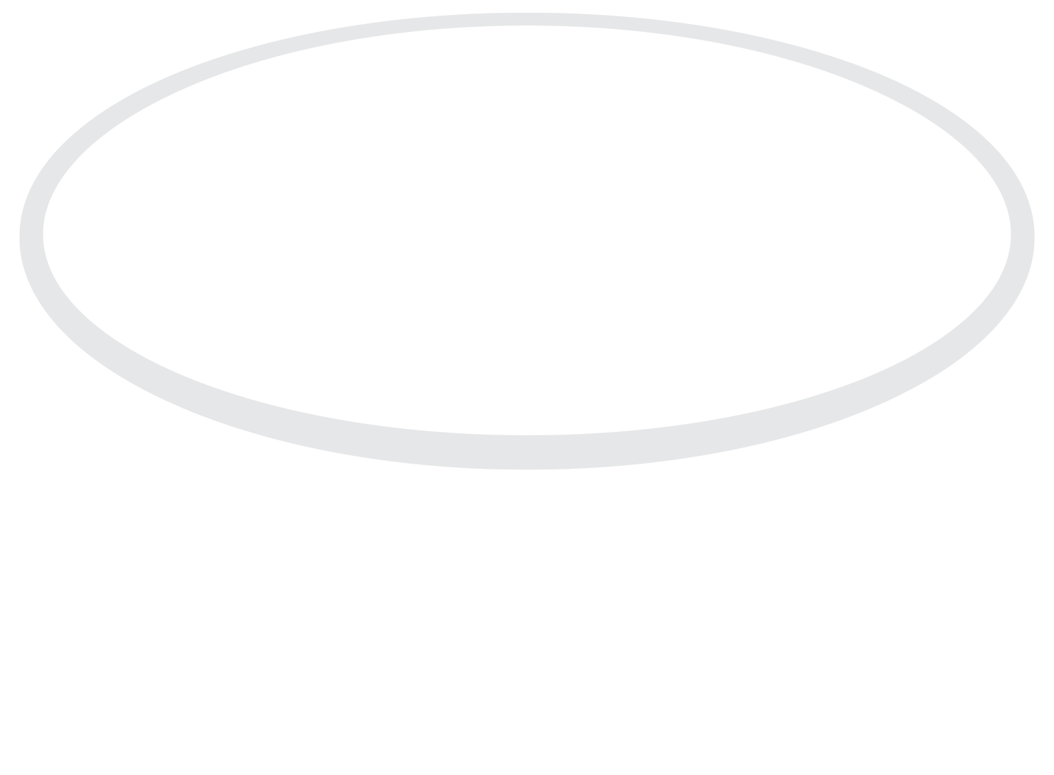 Hockey Puck - SS-2007