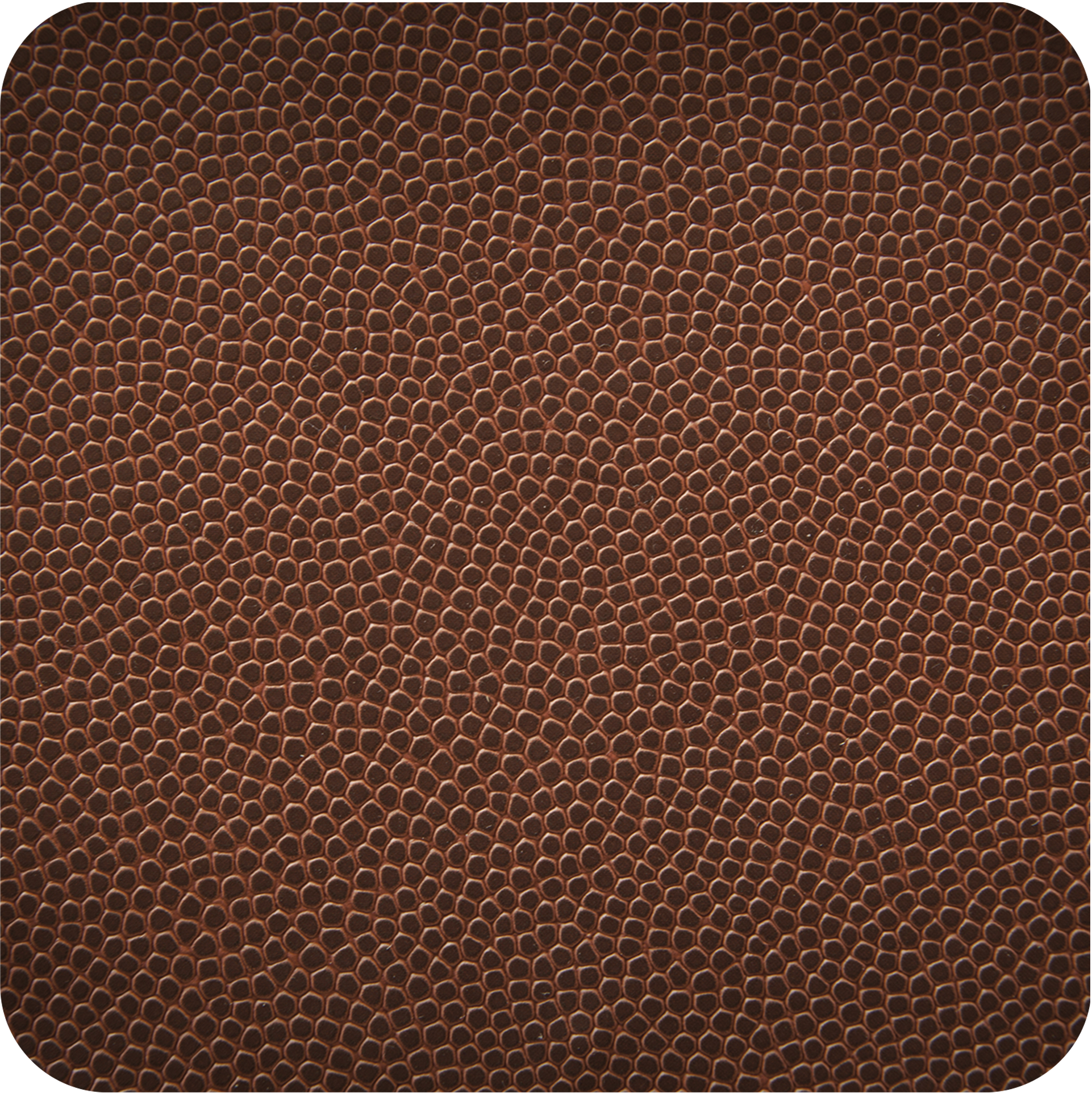 T-1207 Football