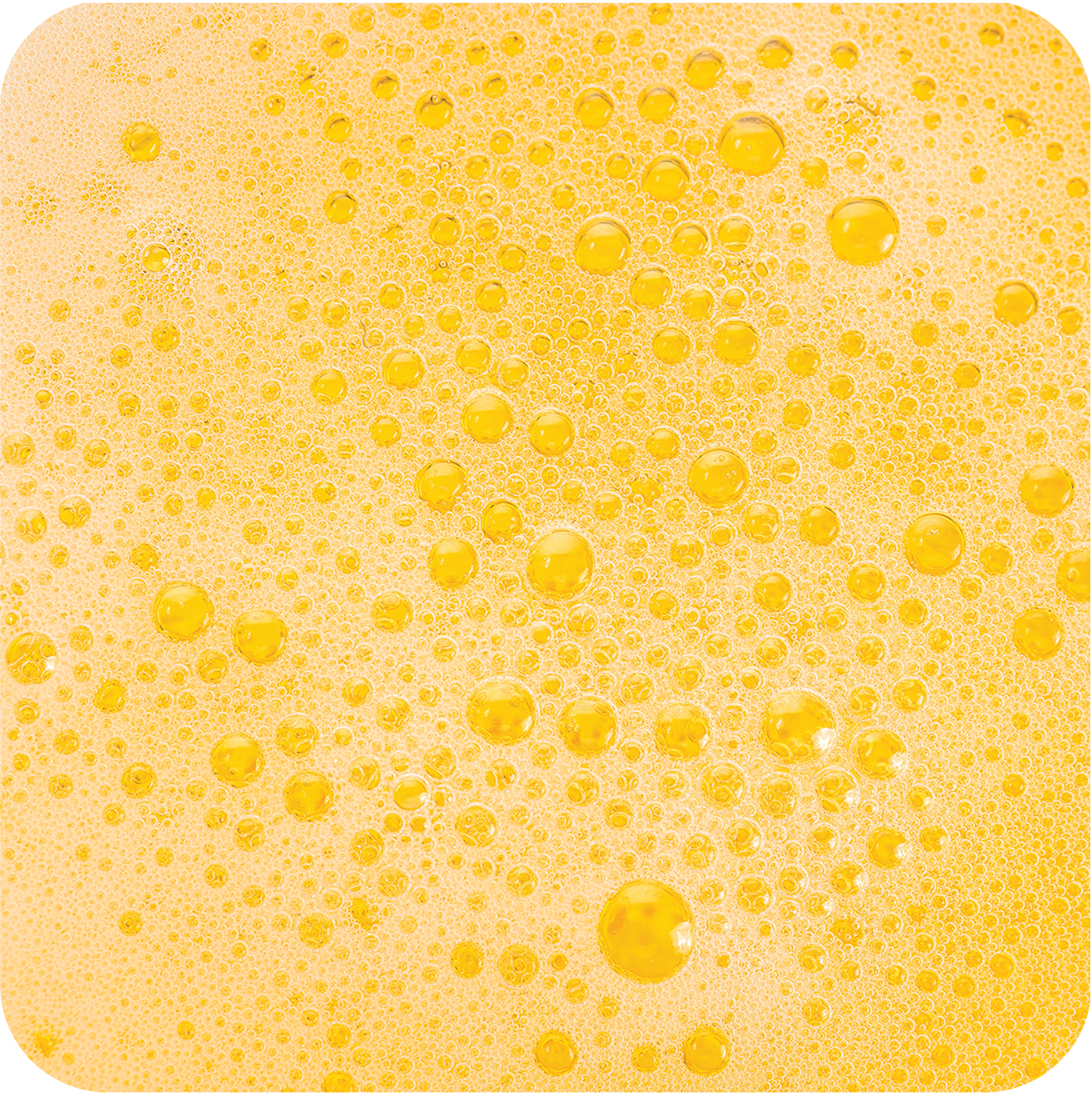 T-1603 Beer