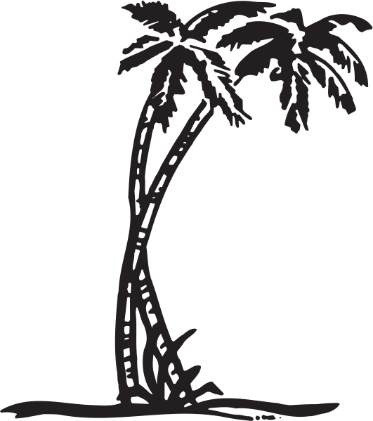 A5