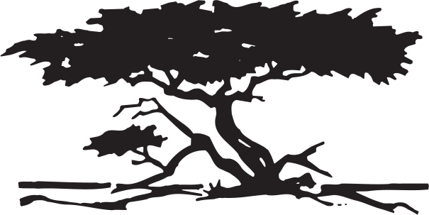 A62