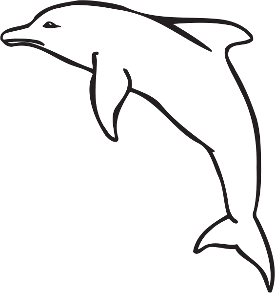 S46
