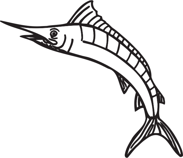 S48