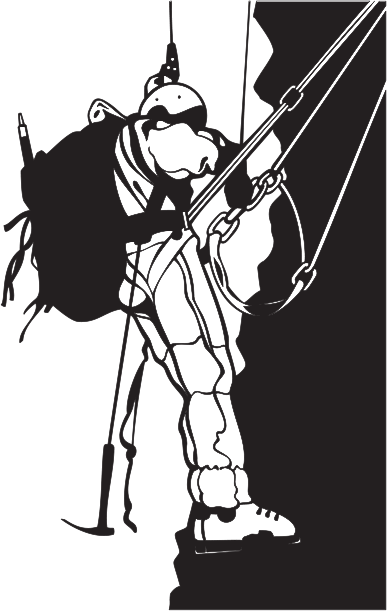 S58