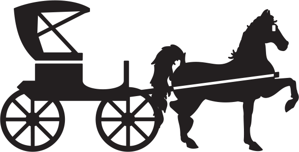 T15