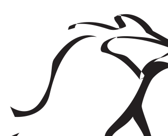 W16